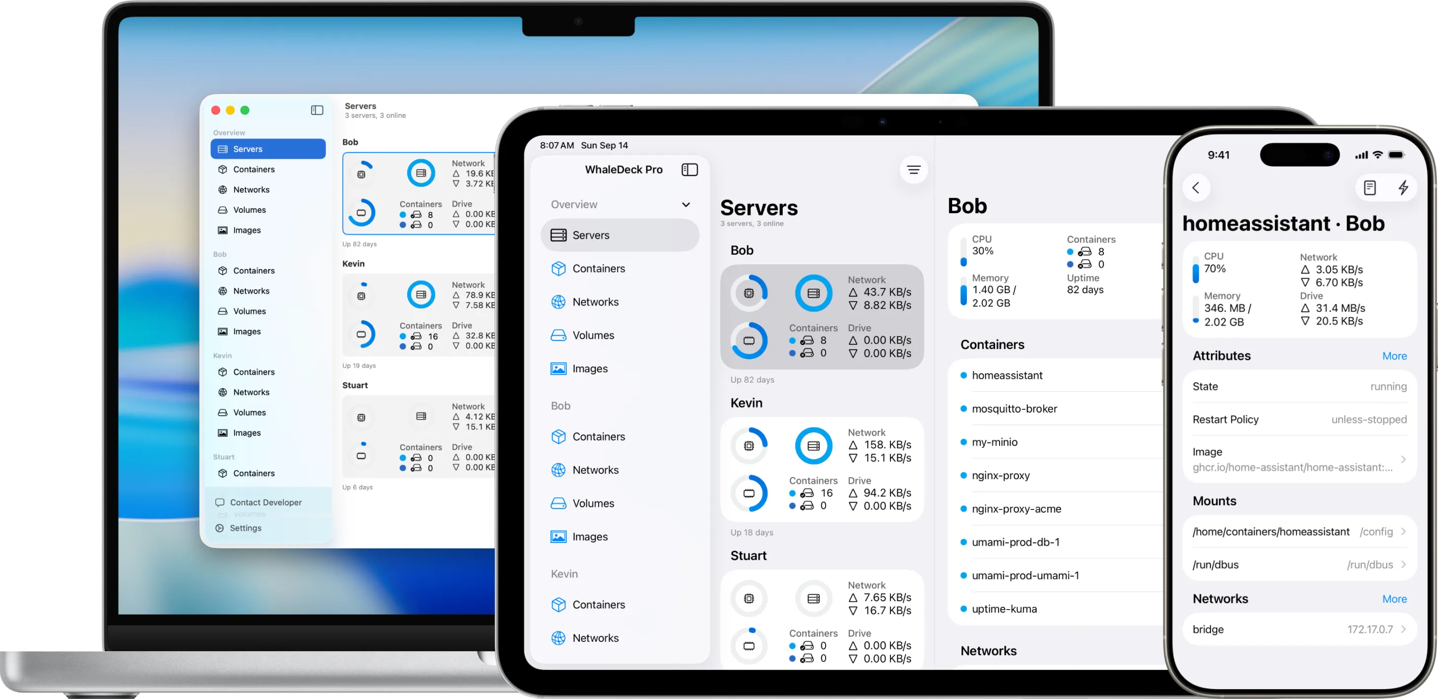 WhaleDeck app interface displayed on iPhone, iPad, and Mac devices