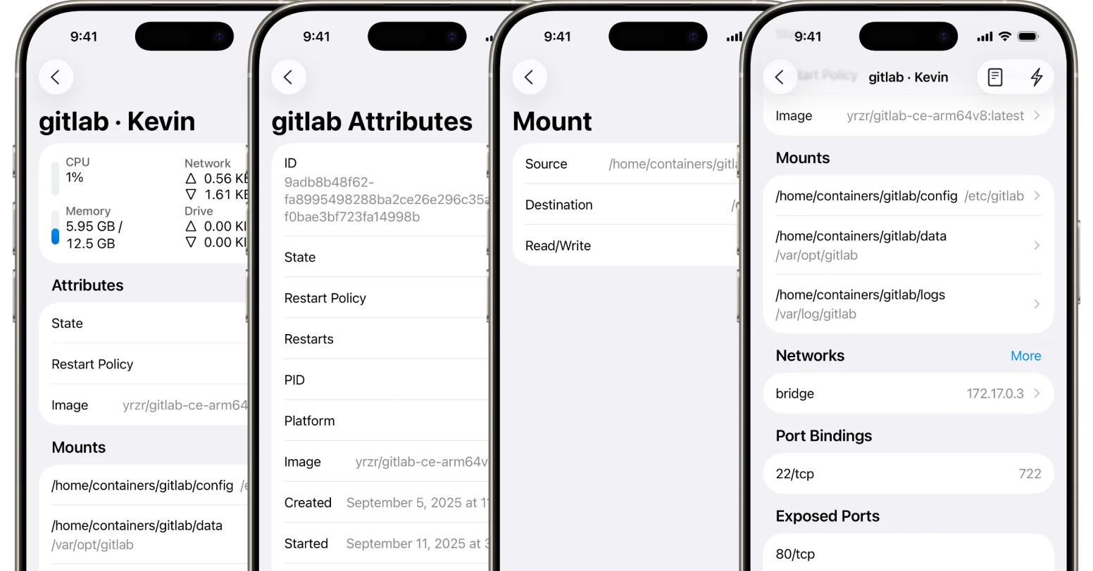 Detailed container inspection view showing port mappings, volume mounts, environment variables, and network settings