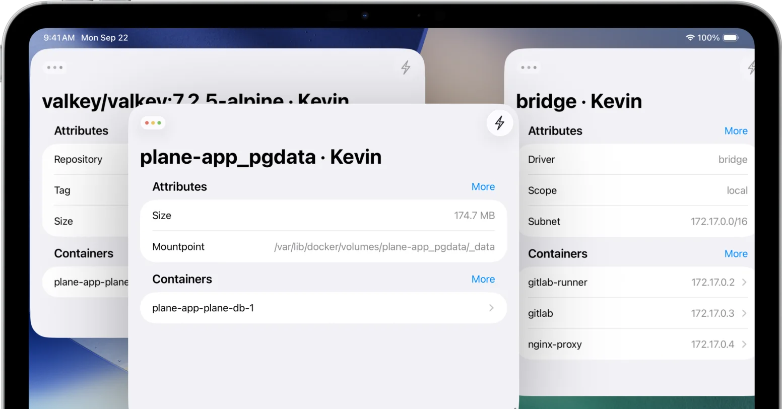 WhaleDeck interface showing detailed information about Docker images, networks, and volumes with their dependencies