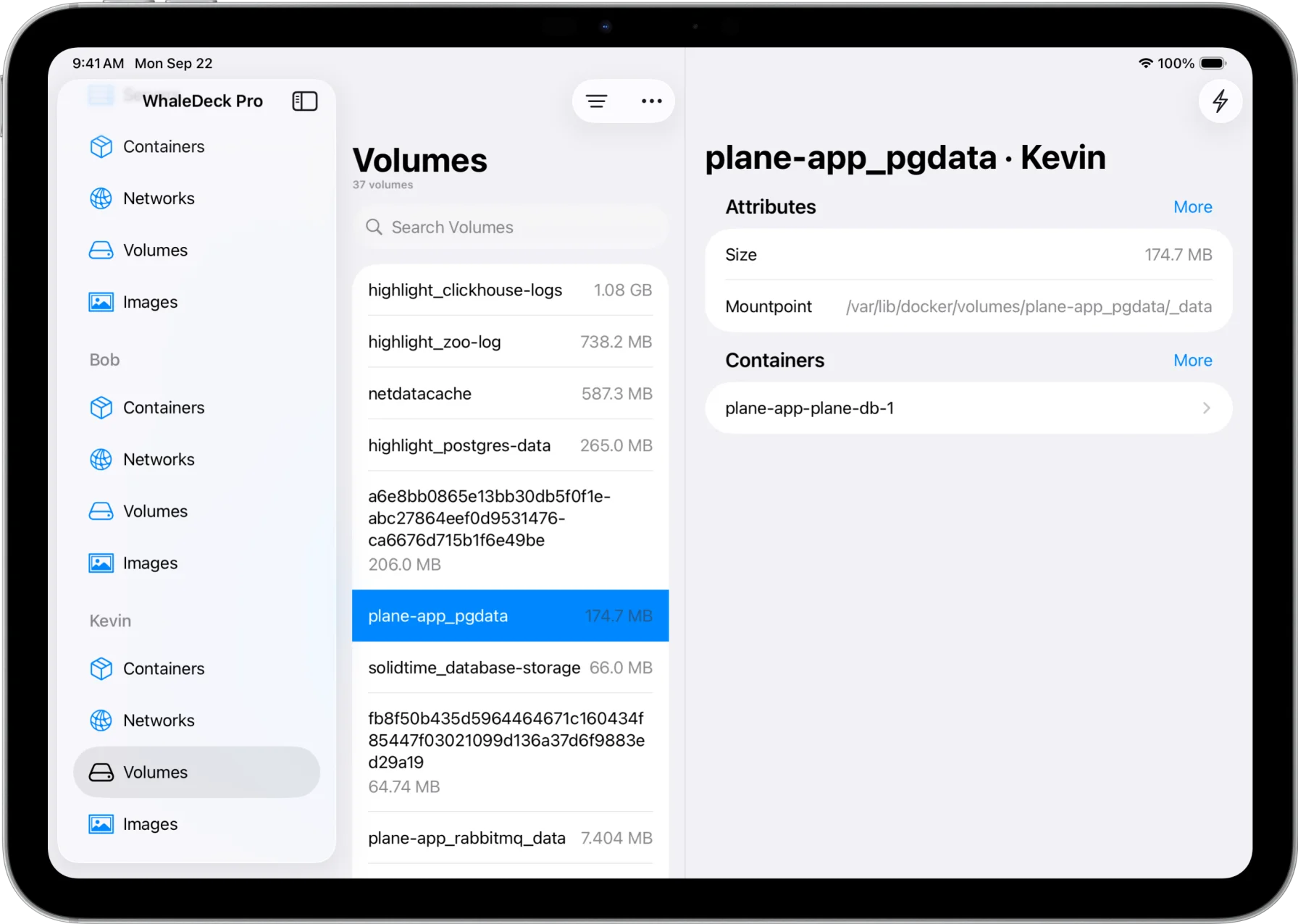 WhaleDeck volumes tab showing Docker volume details, sizes, and mount points