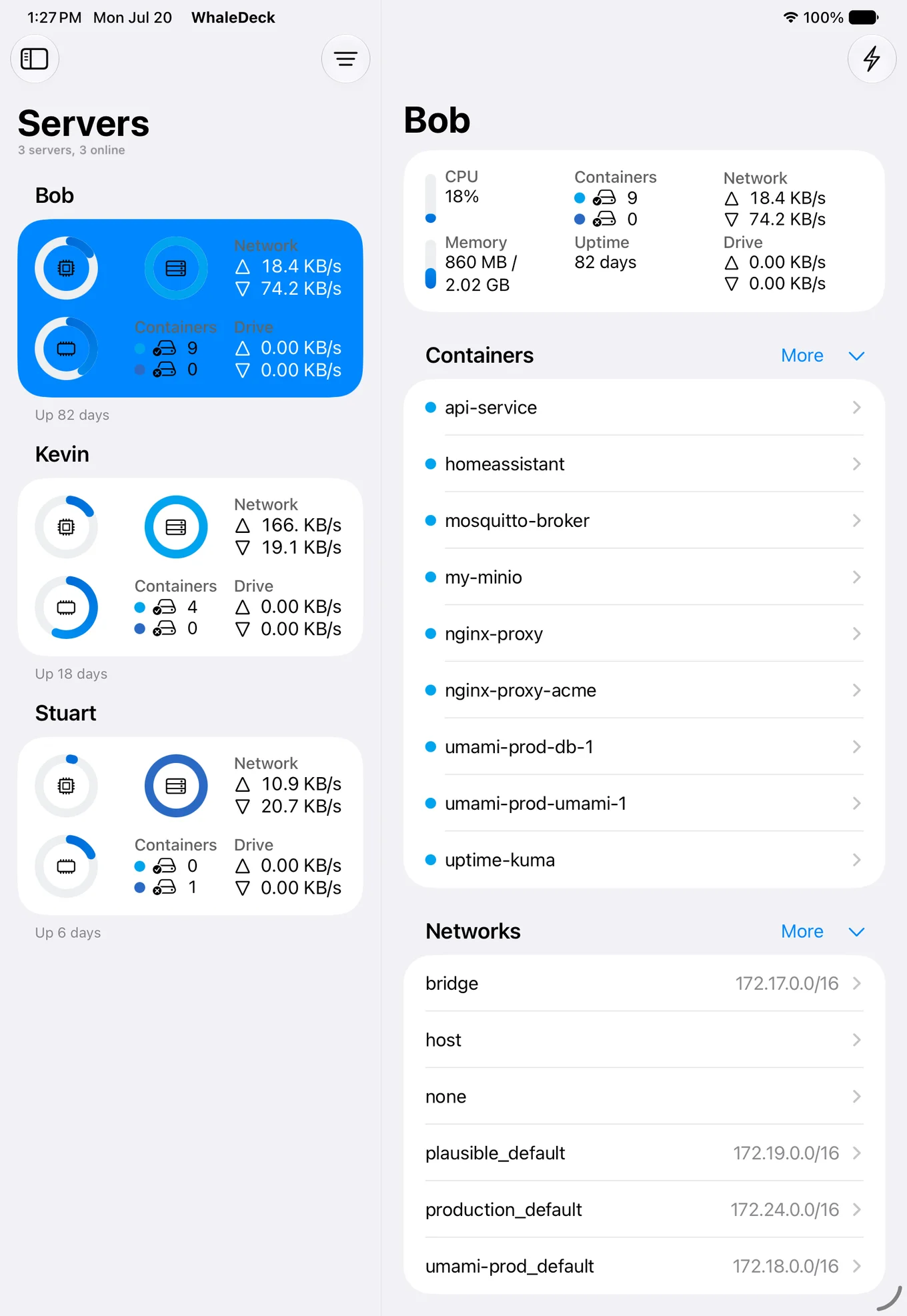 WhaleDeck on iPad showing Docker server metrics beside a list of container states