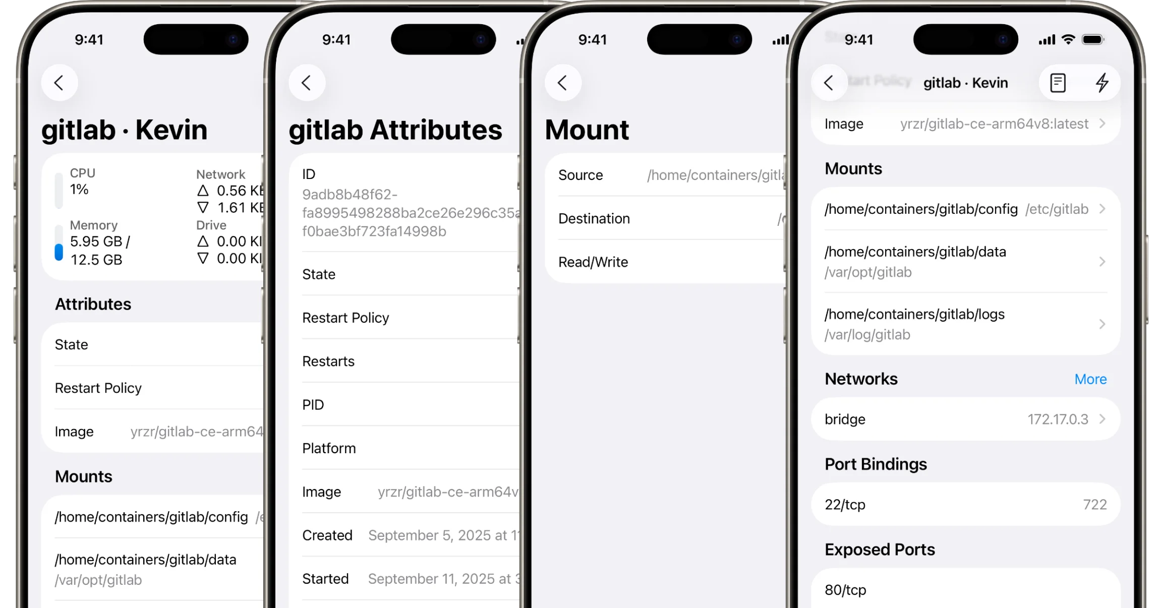WhaleDeck container inspection views on iPhone showing state, mounts, networks, and ports