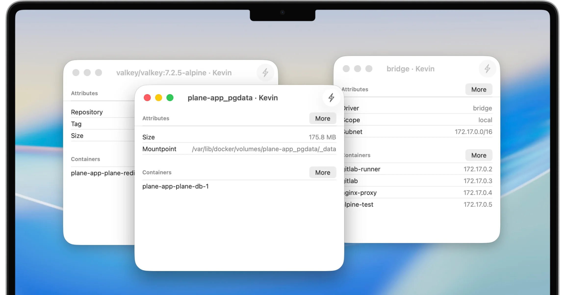 WhaleDeck views for Docker images, networks, and volumes with container dependencies
