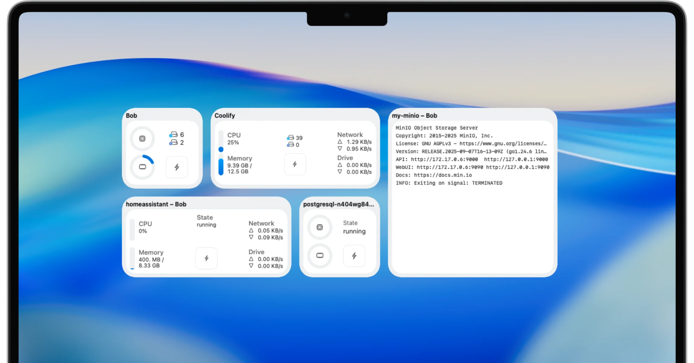 WhaleDeck Docker status widgets displayed on the Mac desktop