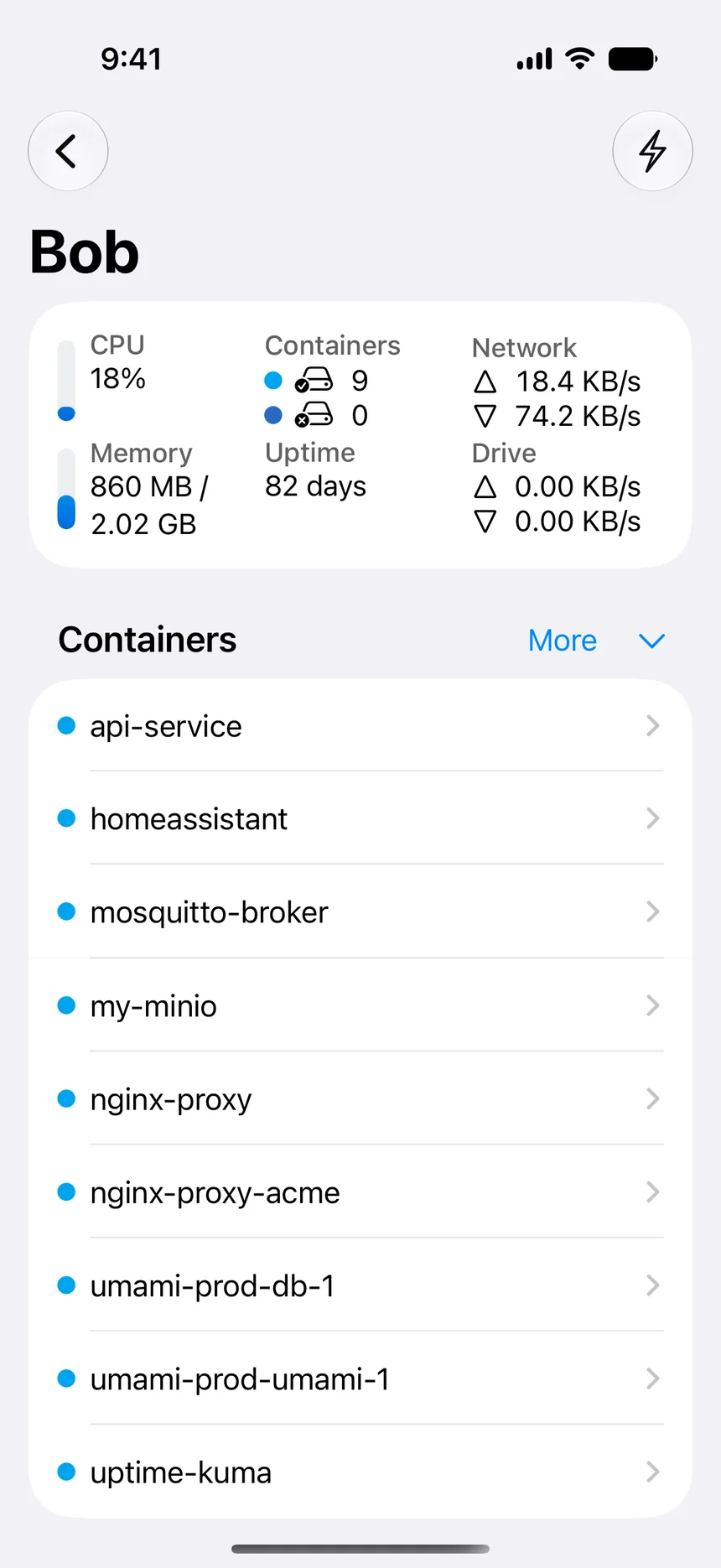 WhaleDeck on iPhone showing a remote Docker server overview and running containers