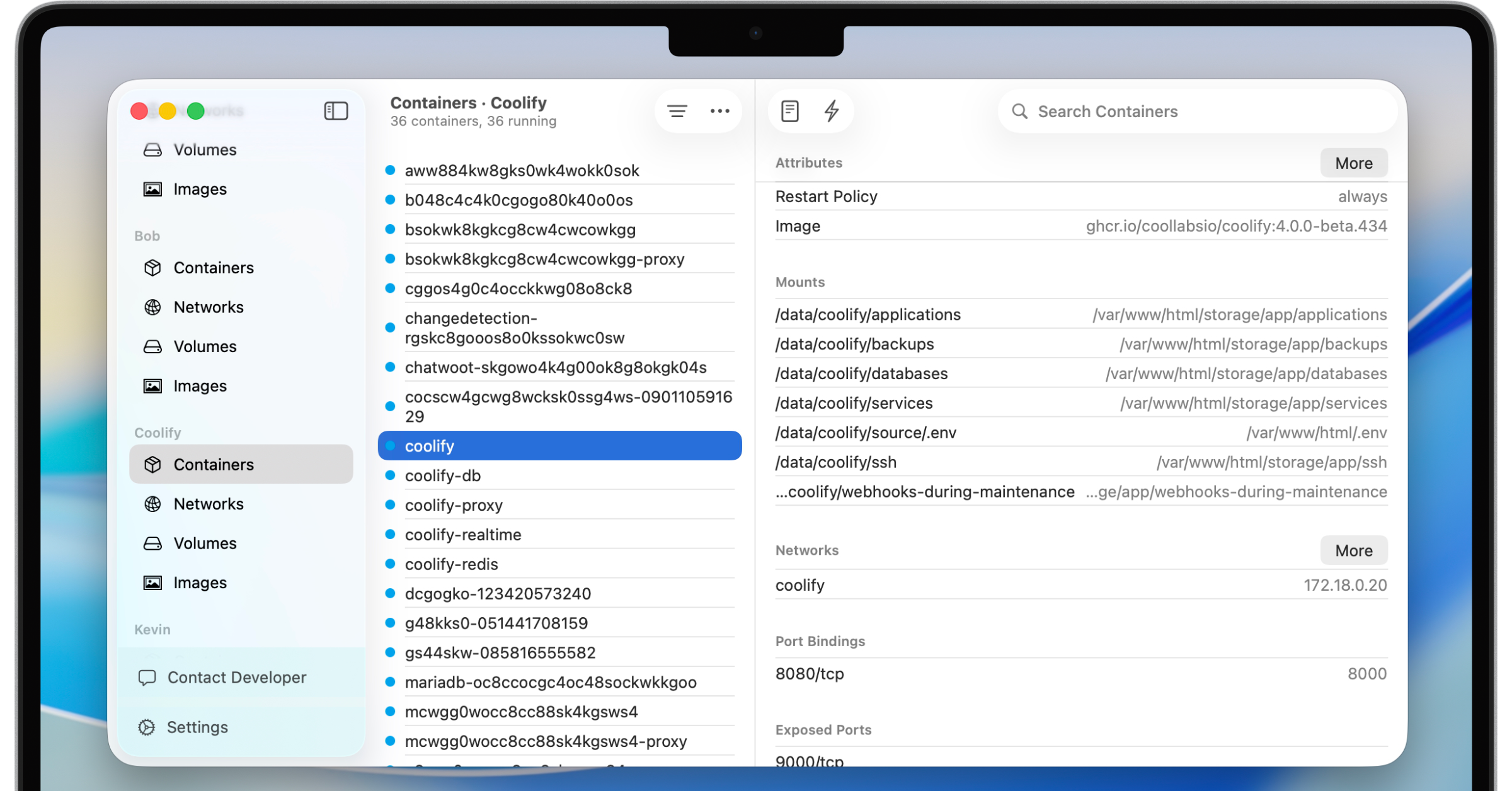 Container inspection