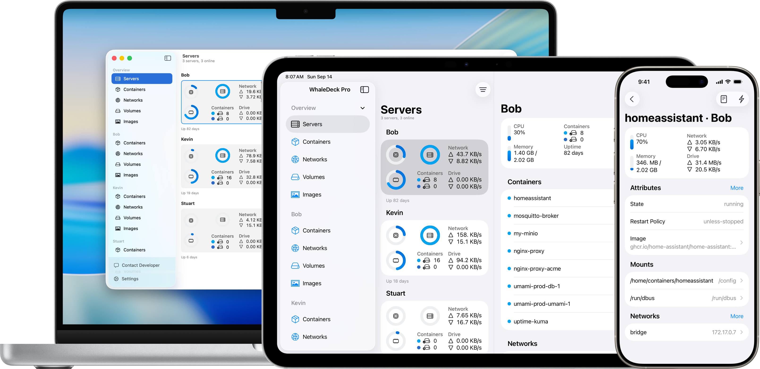 WhaleDeck app interface displayed on iPhone, iPad, and Mac devices